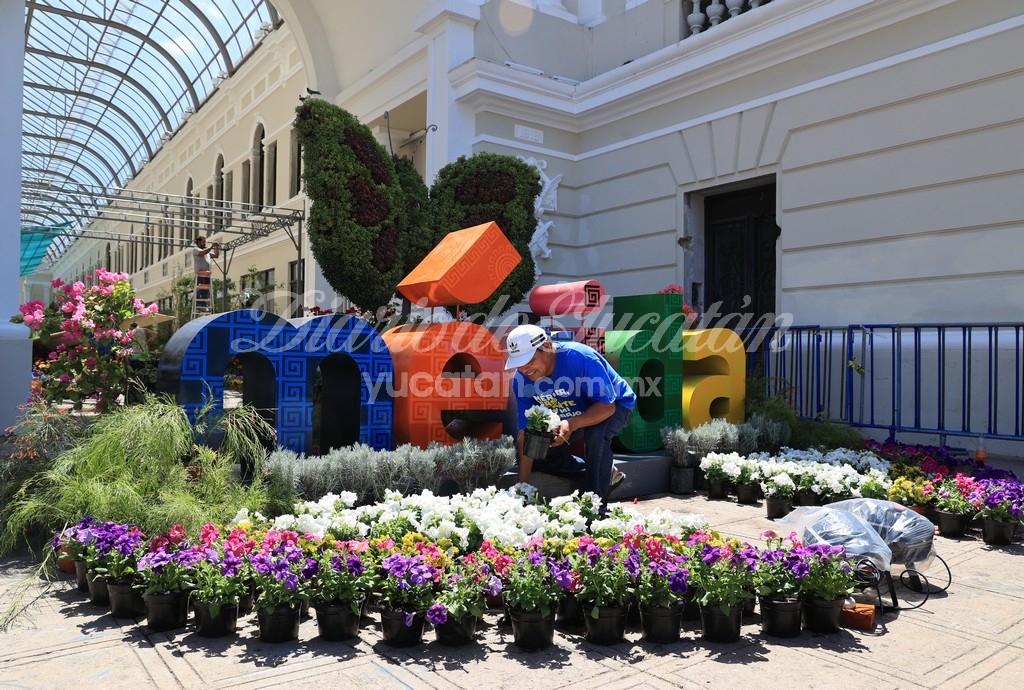 Camino de las Flores en el centro histórico de Mérida fechas horario