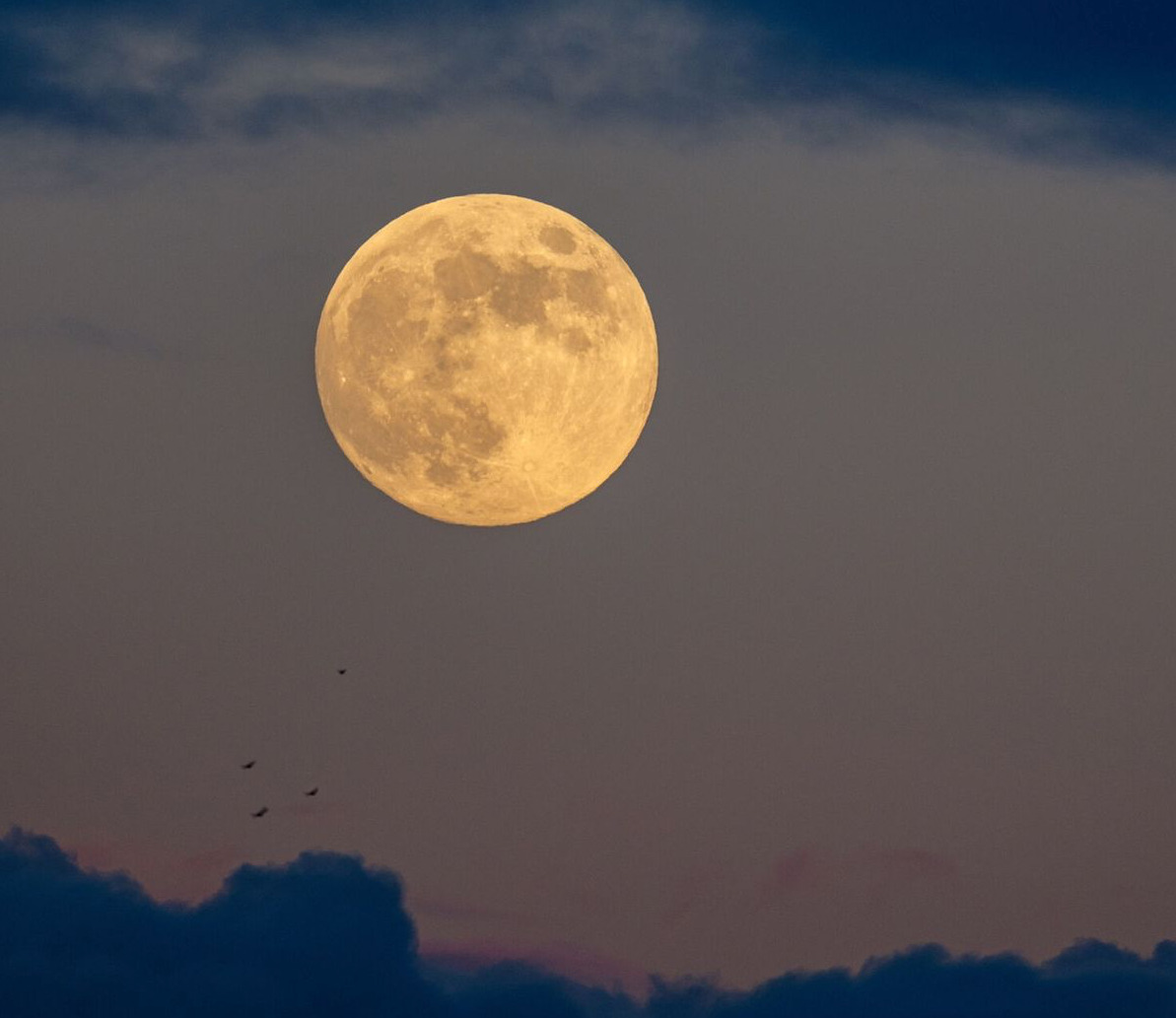 Luna llena diciembre 2023 Fecha y hora para ver la luna fría en México