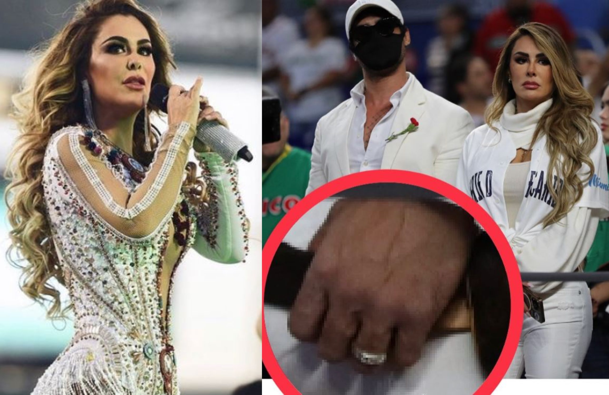 Ninel Conde es exhibida; sí se casó pero no con un empresario sino con un  mecánico - Diario de Yucatán