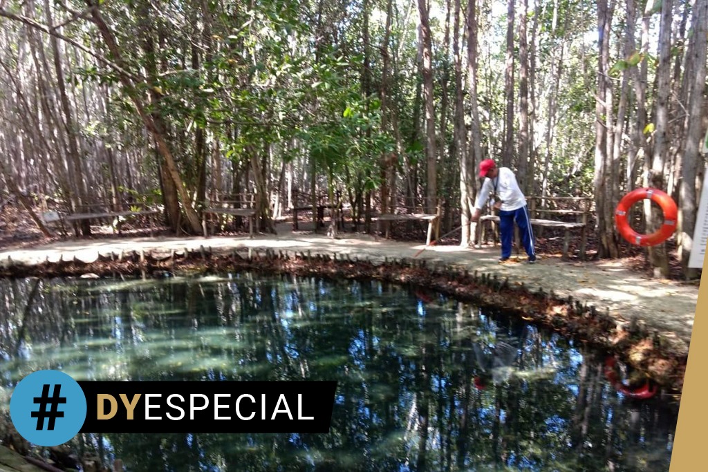 Municipios costeros de Yucatán, en peligro de quedarse sin agua dulce ...
