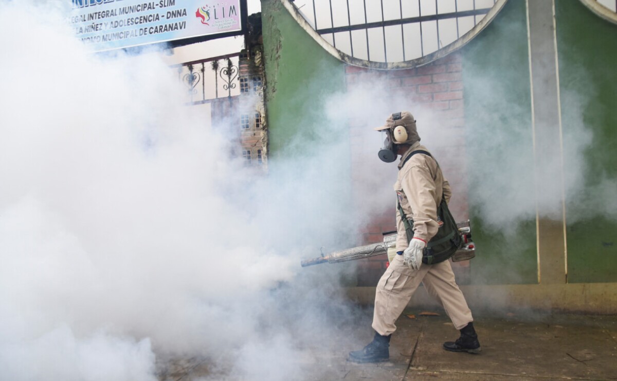 Dengue, an unprecedented epidemic within the Americas;  they report greater than 8 million circumstances