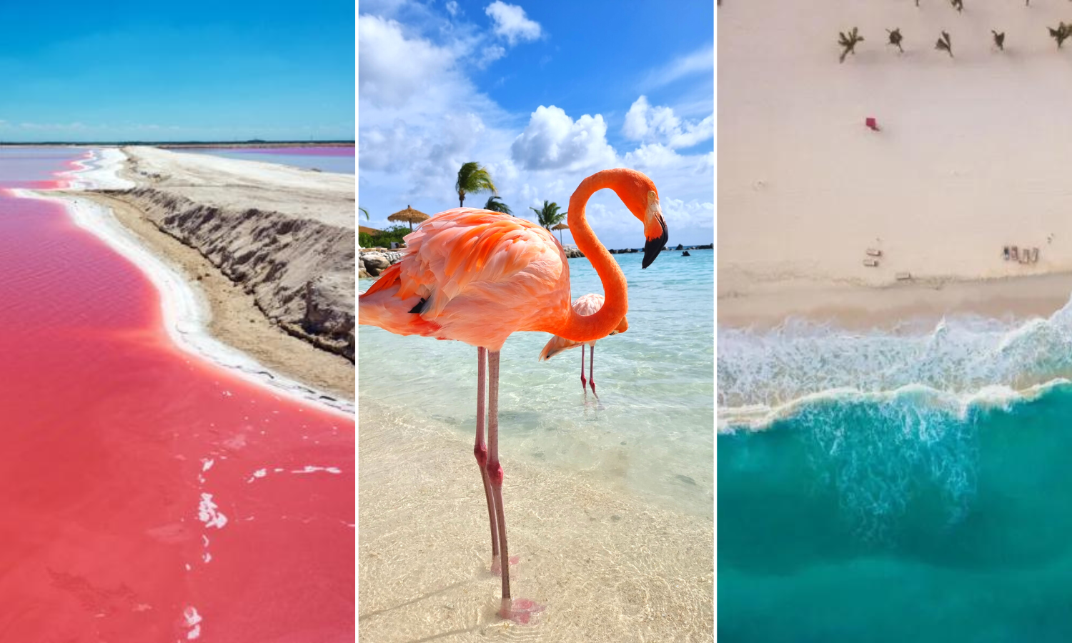 Descubre las playas más bonitas de Yucatán y cómo llegar - Diario de ...