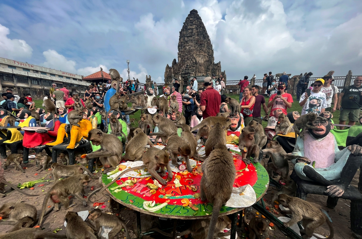 They are fed up with monkeys in Thailand