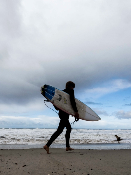 Common California seashore closed attributable to shark