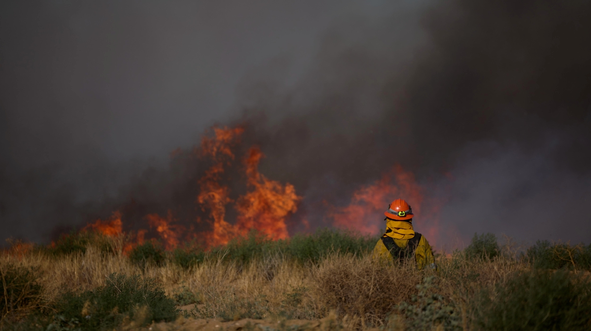 Study reveals how climate change is affecting heart health