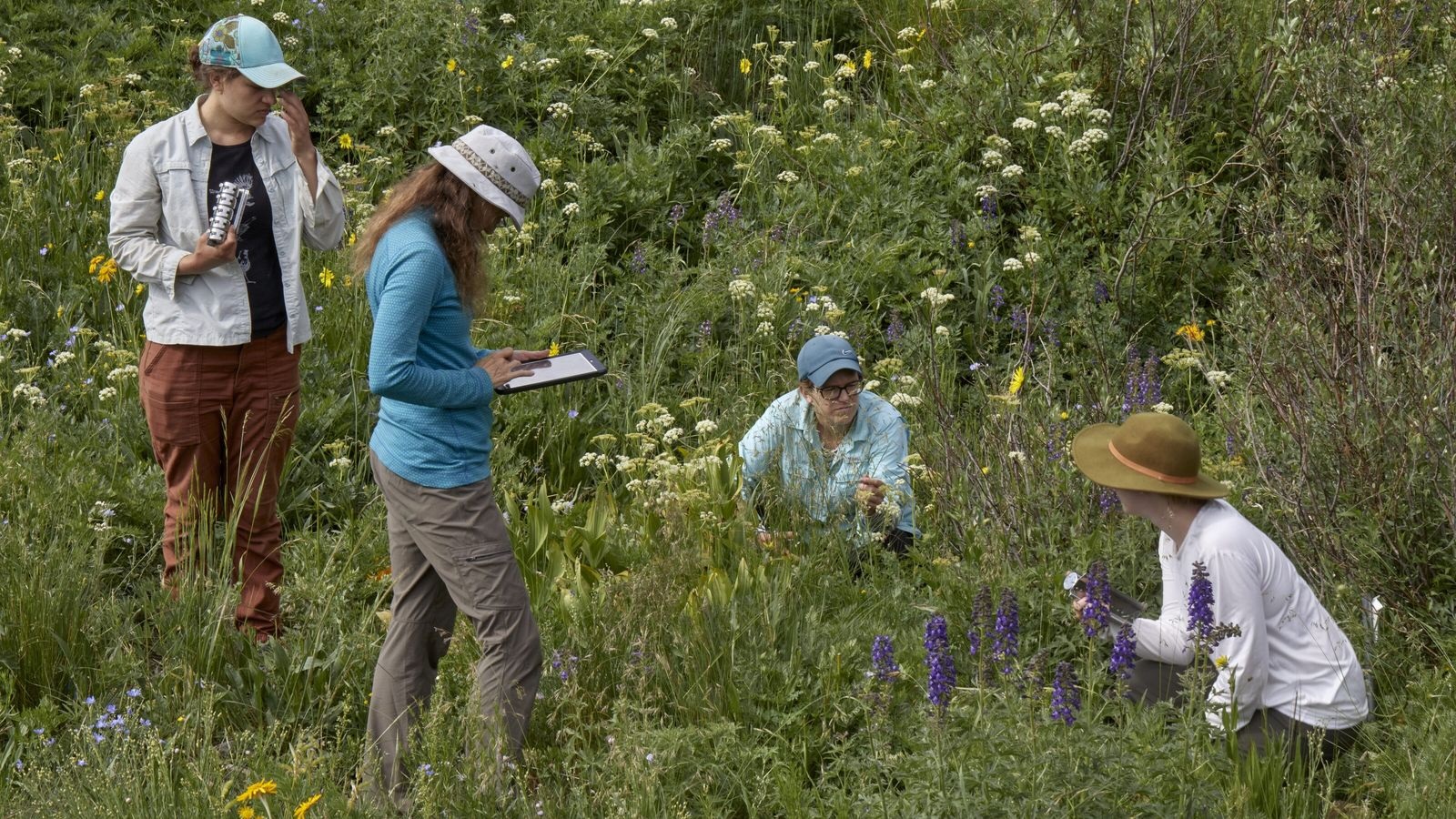 What is climate anxiety and how to identify it