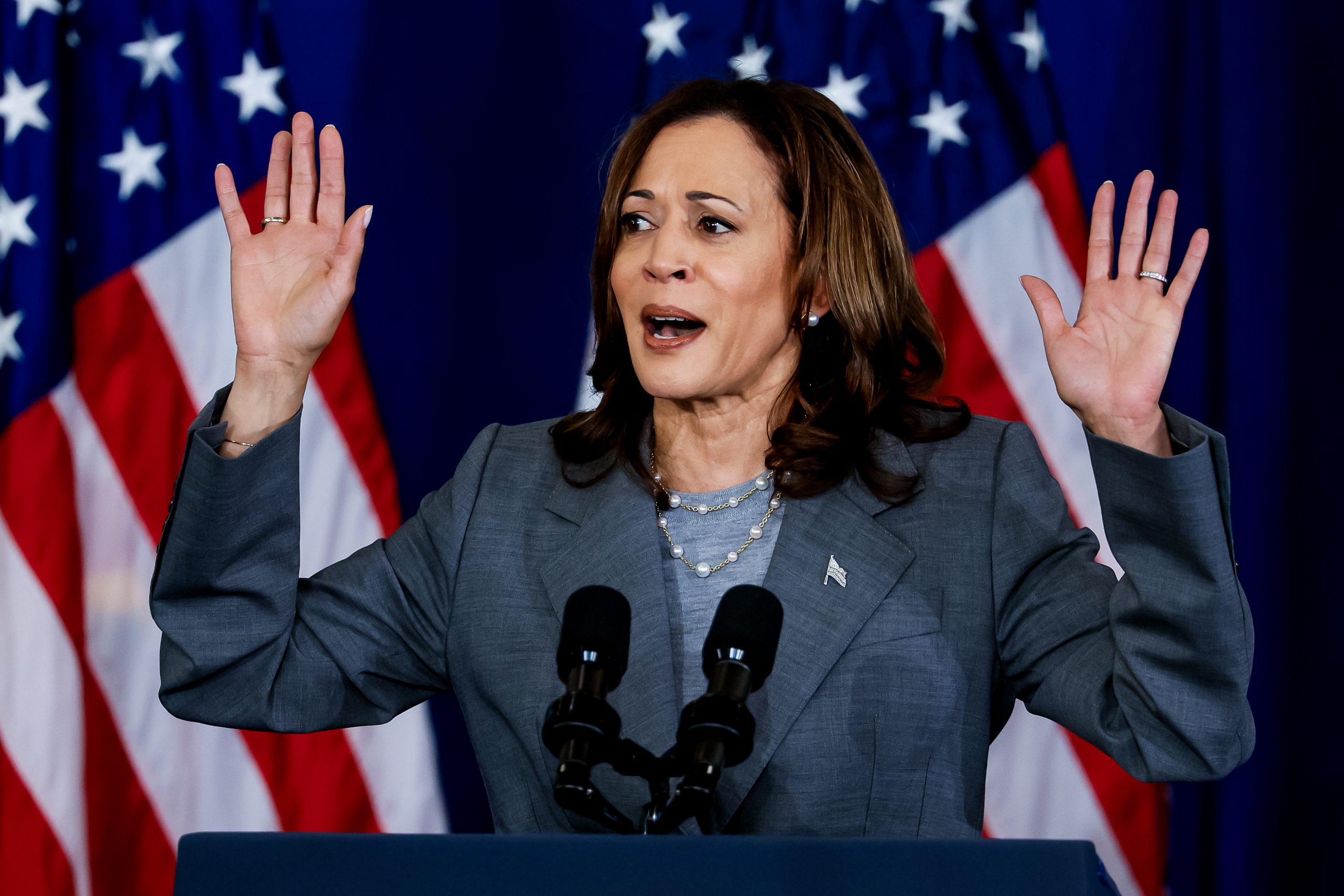 Kamala Harris to seek presidential nomination and thanks Biden for support