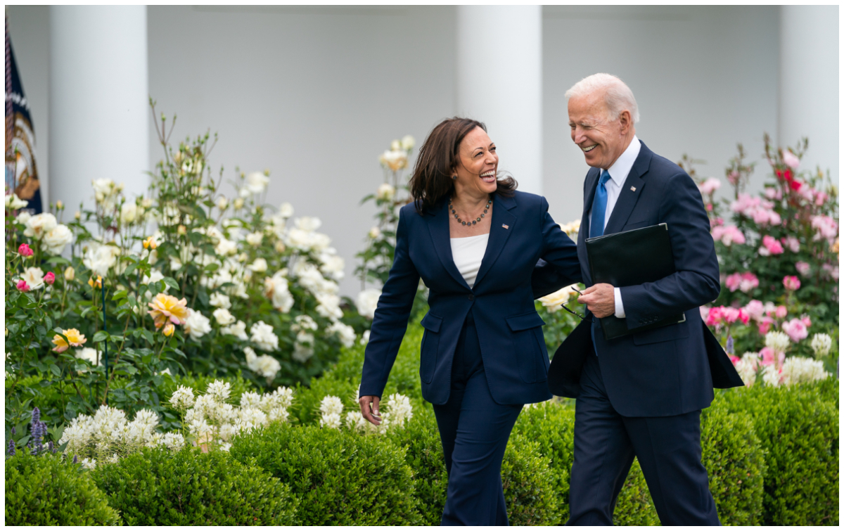 How will the Democratic candidate be chosen after Biden resigns?