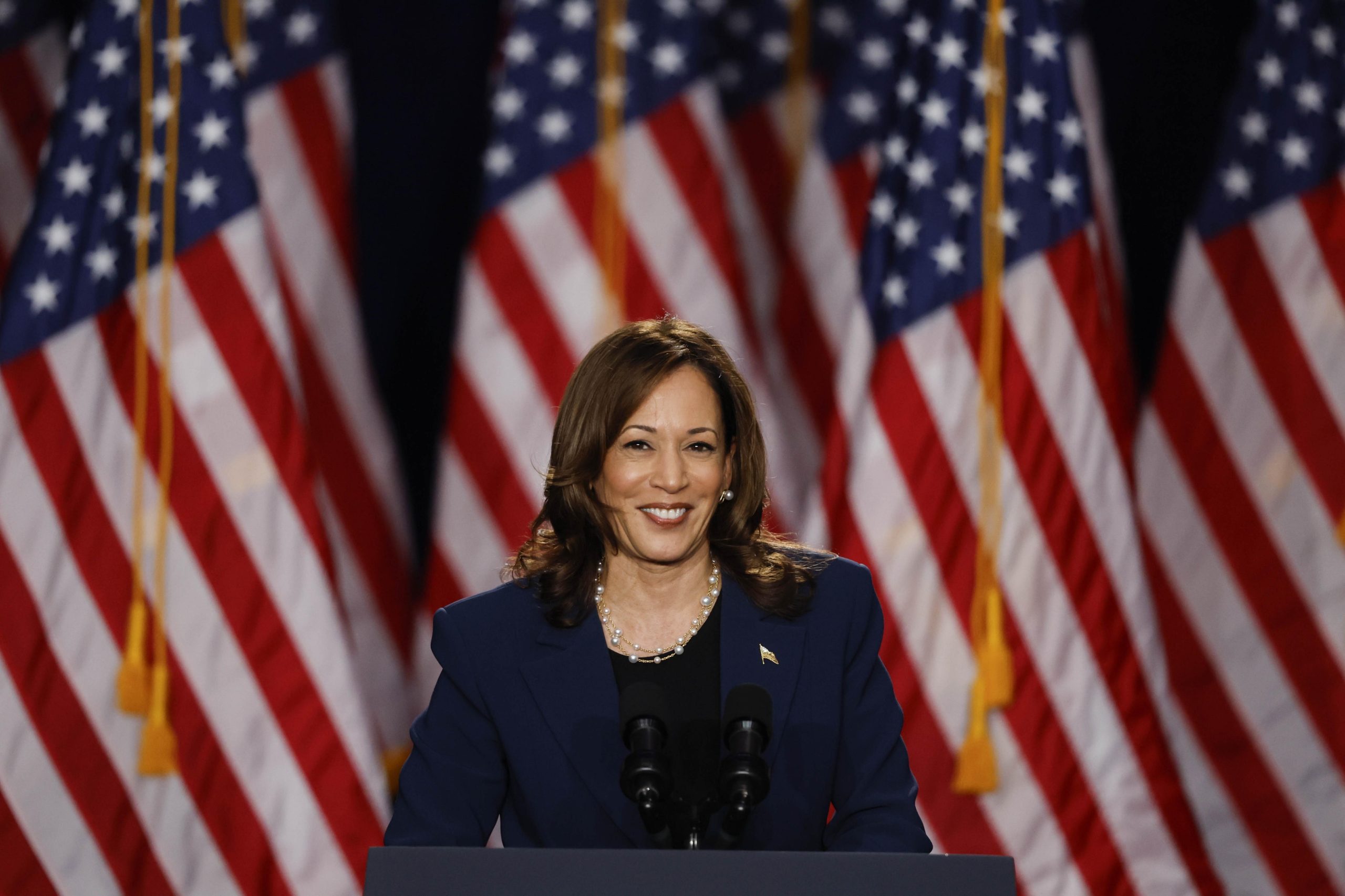 Kamala Harris campaign receives  million donation from Netflix co-founder