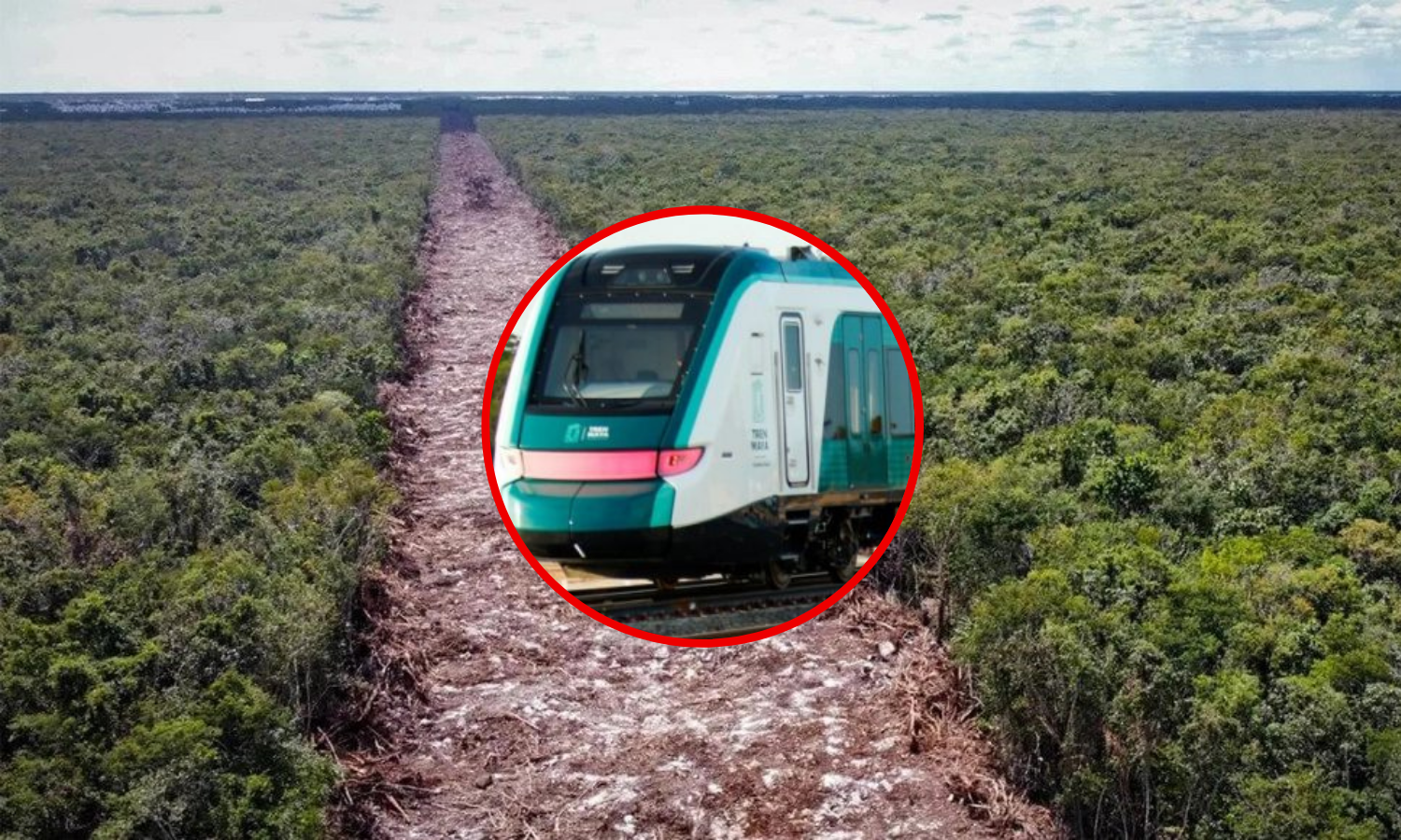 Yucatan court orders to stop work on the Maya Train in section 7