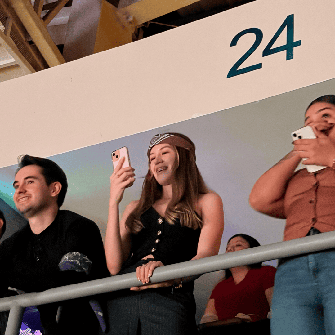 Vista desde el palco oro 24